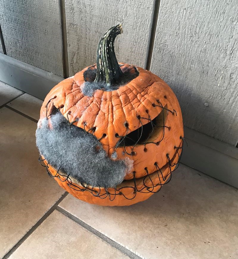 9. Plijesan u ovoj bundevi zbog koje izgleda zastrašujuće