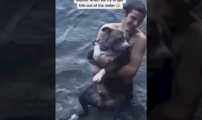 Dramatična reakcija psa dok ga vlasnici iznose iz vode vrijedna je Oscara, video je urnebesan