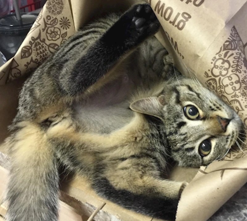 "Kako može ovako ležati?"