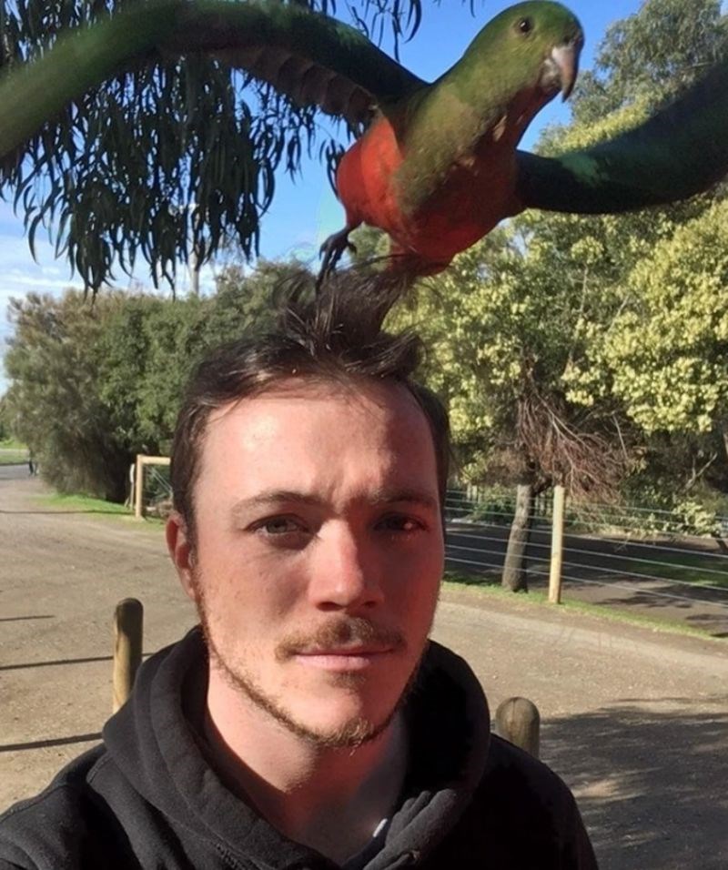 "Sletjela mi je na glavu i taman kad sam htio slikati je počela letjeti. Moje razočarenje je očito."