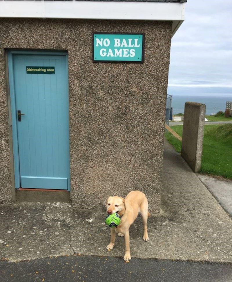 Samo igre loptom ako se njega pita