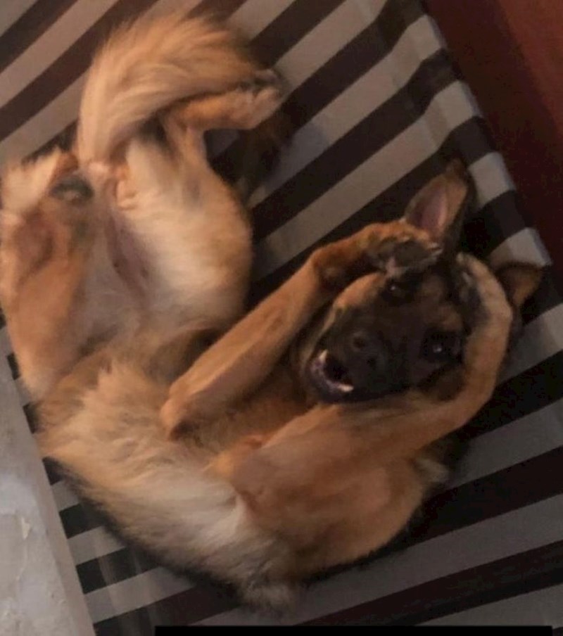 4. "Ovo je kao scena u filmu kad likovima nešto nije pošlo po planu"