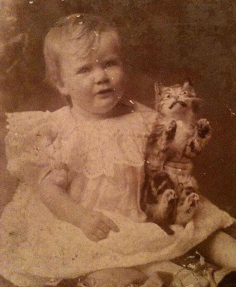 15. "Gledala sam fotografije u starim kutijama i naišla sam na ovo. Pogledajte smo mačku!"