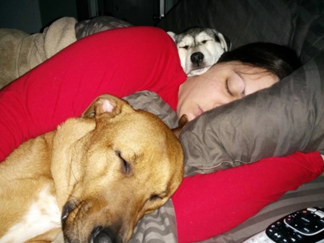 "Moja žena je bila bolesna pa su psi odlučili spavati s njom"