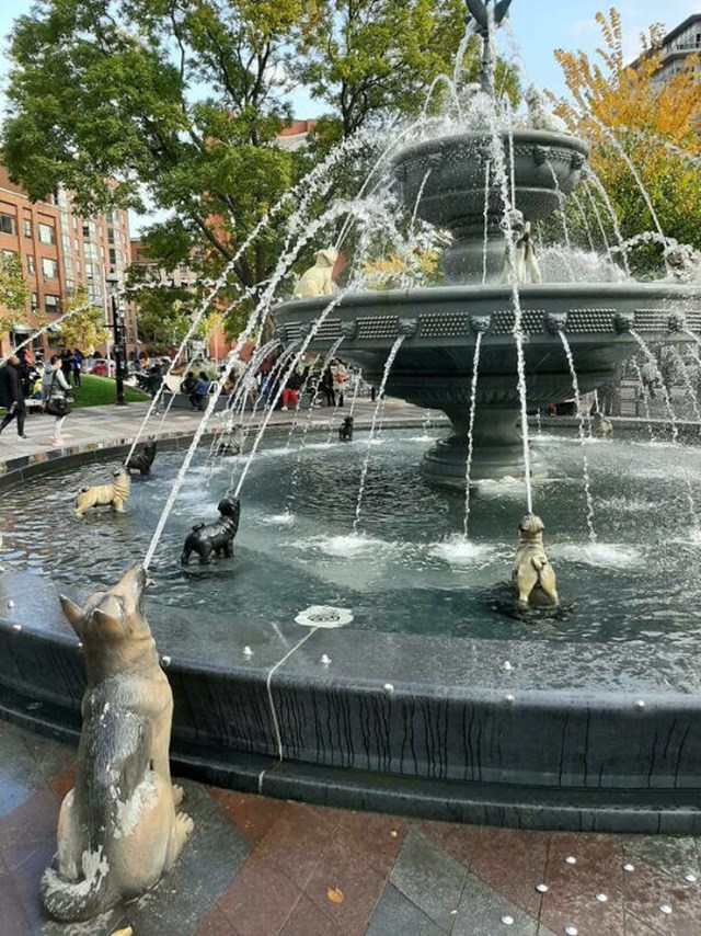 Neobična, ali prefora fontana. Baš nas zanima kako pravi psi reagiraju kad vide ovaj prizor.