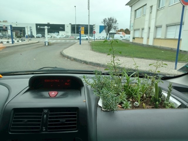 "Moj prijatelj ima minijaturni vrt u autu."