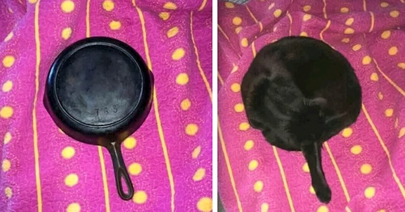 13. Pronađite razliku 😃