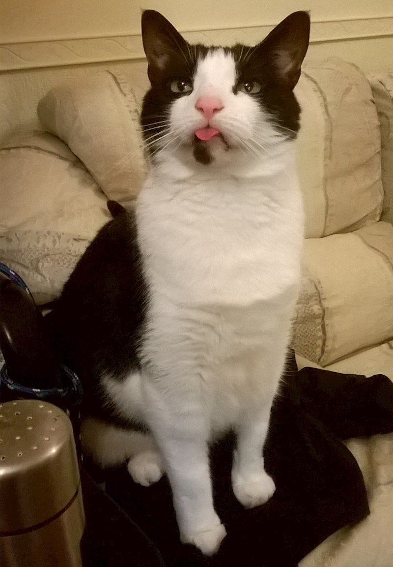 5. Ovako se on svađa