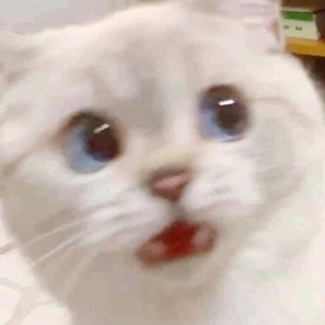 23.