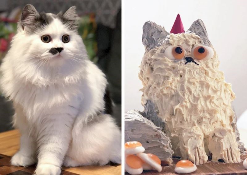 "Maca je bila motiv za tortu, sramila bi se kad bi znala što sam napravila"