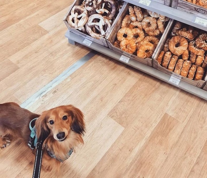 20. "Nije mu se svidjela ideja da smije dobiti samo jedno pecivo"