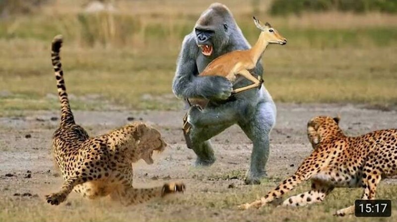 Nekim ljudima stvarno treba zabraniti fotošop 😂😂