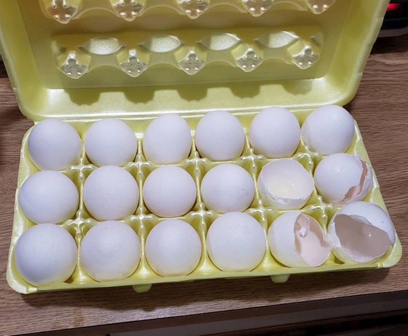 13. "Prijateljica koja je u to vrijeme bila nezaposlena je živjela sa mnom i uvijek bih pronašla da radi poprilično nelogične stvari. Primjerice ovo, iskoristi jaje i ostavi ljuske u kutiji jer joj se ne da baciti ih u smeće..."