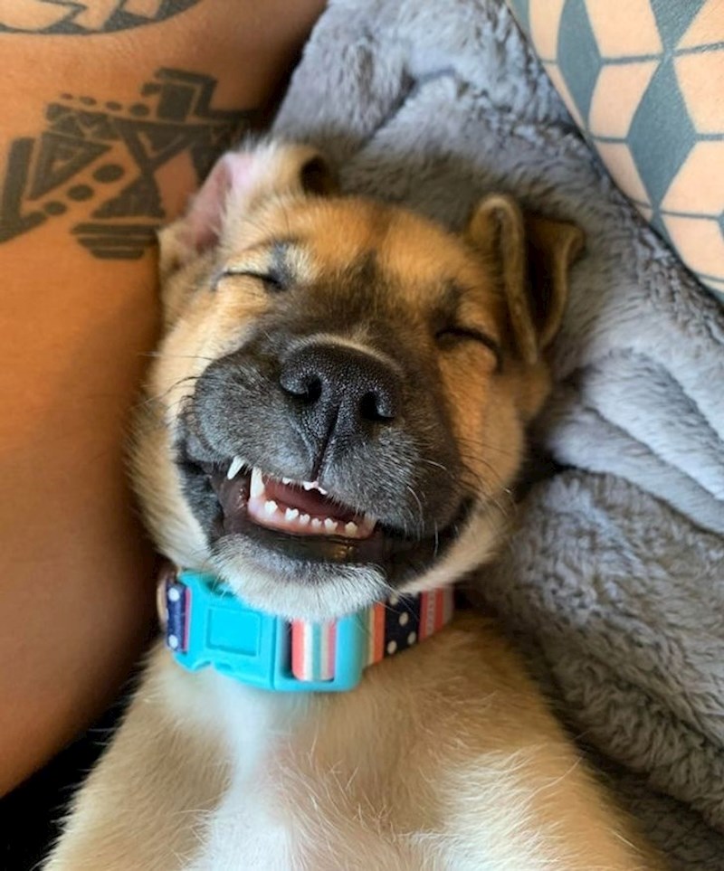 5. "Pogledajte samo taj vragolasti smiješak"