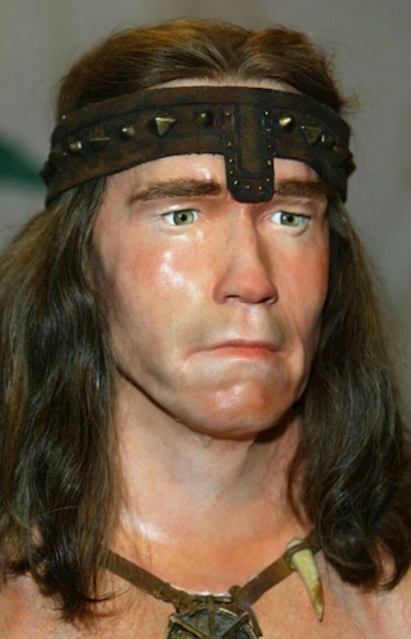 6. Arnold Schwarzenegger