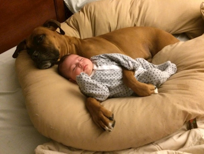 "I tako, najveće prijateljstvo je upravo započelo"