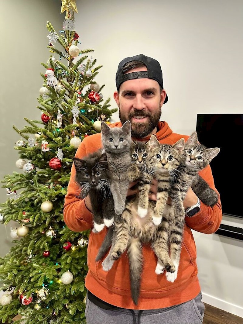 12. "Netko ih je ostavio ispod mosta, čekamo da malo porastu pa ćemo im potražiti nove vlasnike"