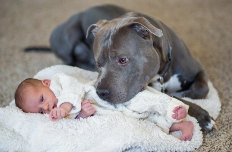 "Zaljubio se čim ga je ugledao."