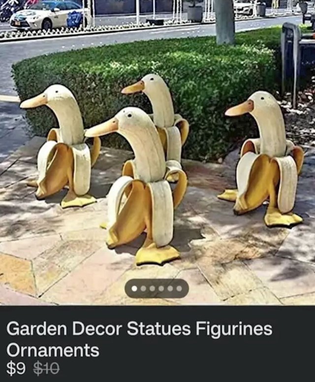 Netko je pokušao prodati patke u banani...