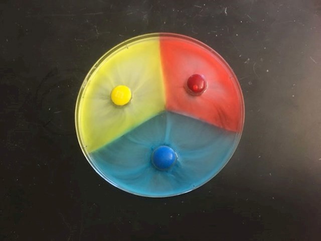 M&M bomboni u vodi