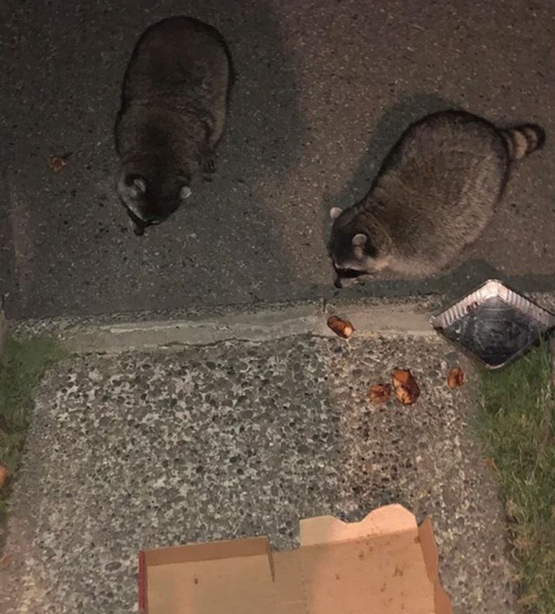 4. Ono kad ne uzmeš odmah dostavu pa te život kazni