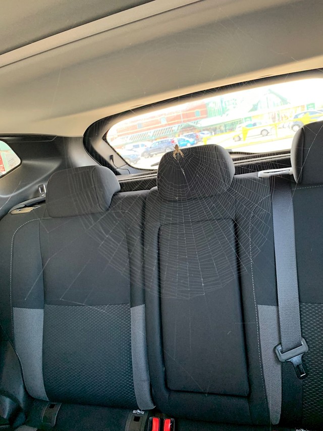 12. Točno bismo mu ostavili auto, sve je njegovo