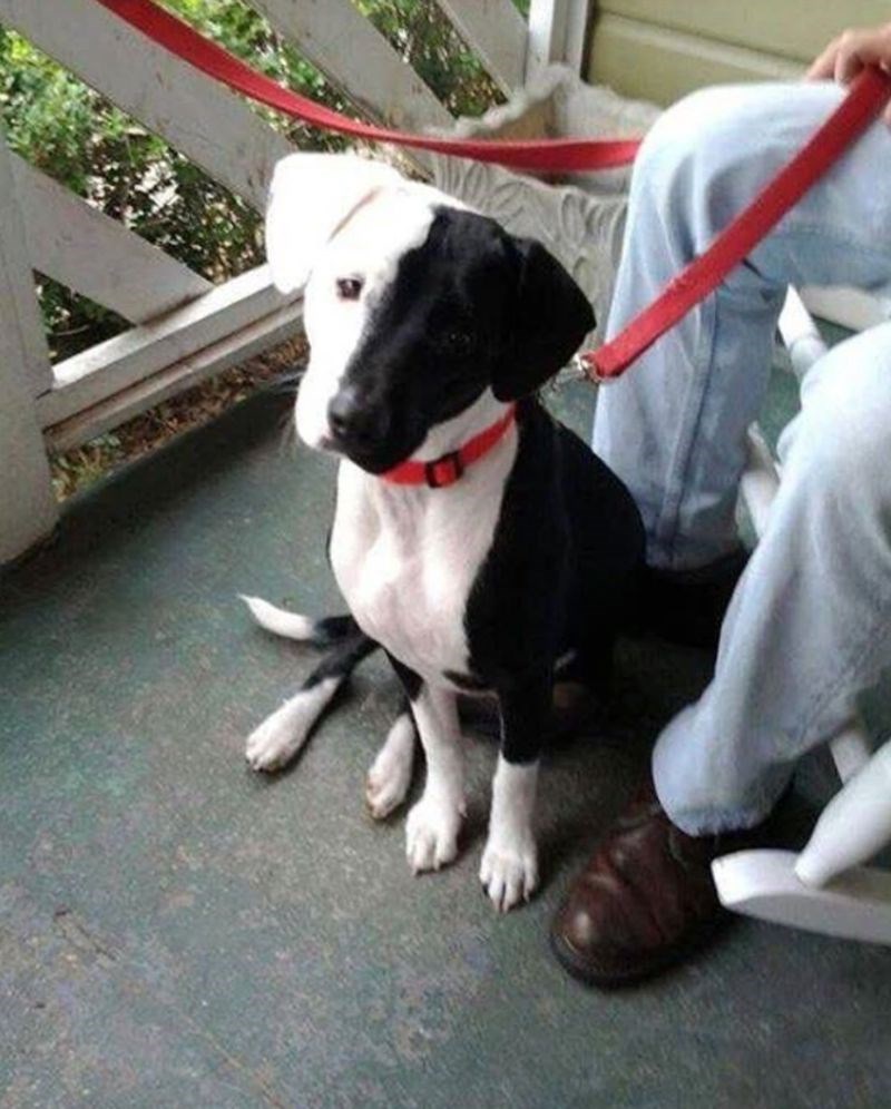 6. Crno-bijeli svijet! 😍