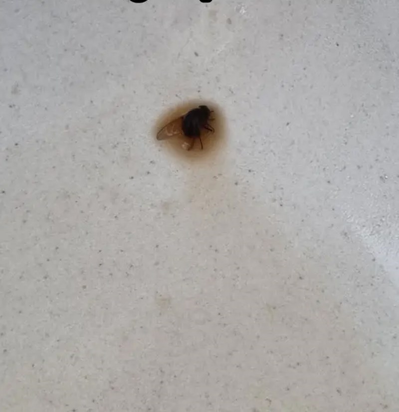 "Osjetio sam nešto čudno u grlu nakon što sam popio gutljaj kave. Sad mi je sve prisjelo..."