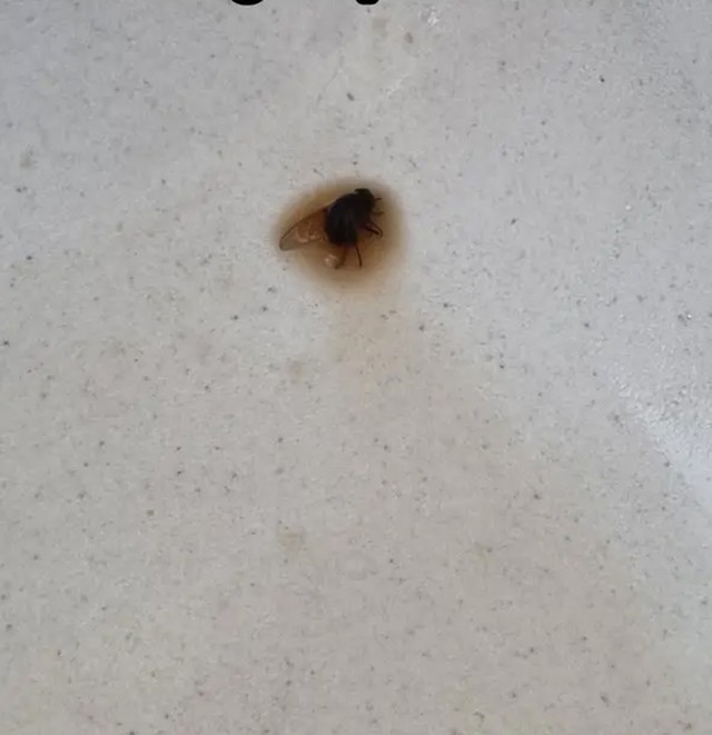 "Osjetio sam nešto čudno u grlu nakon što sam popio gutljaj kave. Sad mi je sve prisjelo..."