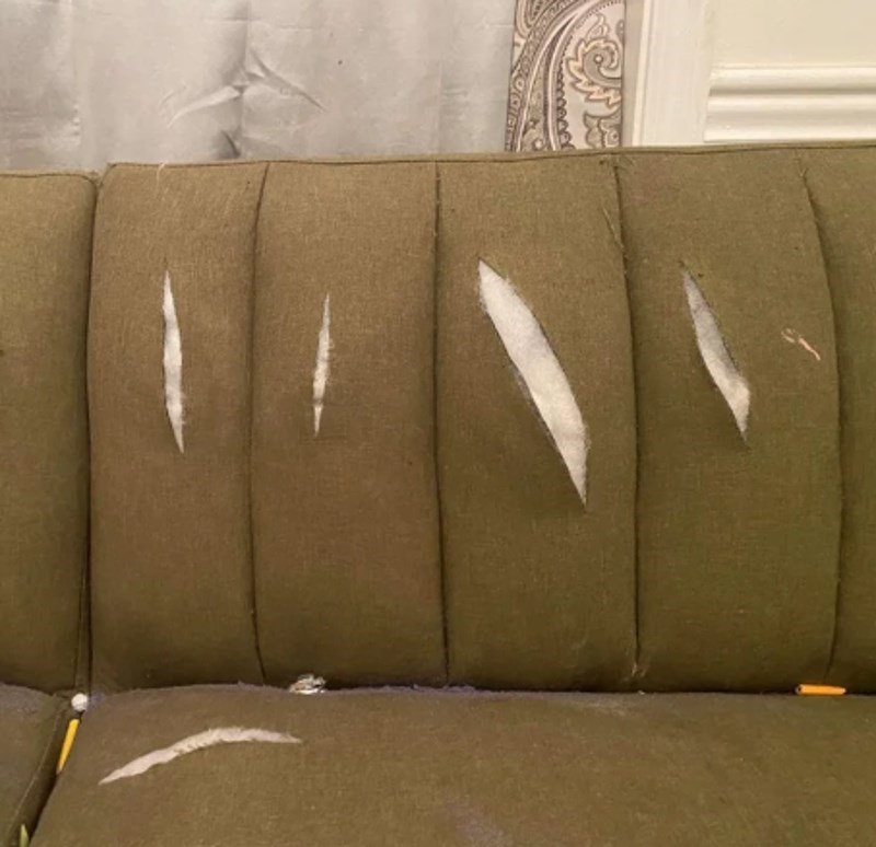 6. Moj sin se htio uvjeriti da su kliješta dovoljno oštra.