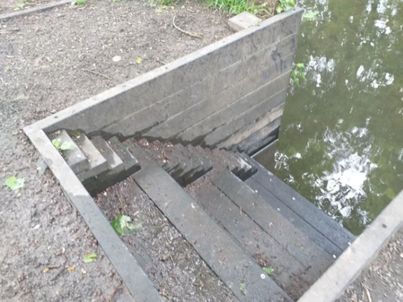 4. Ove male stepenice za patke kako bi im se olakšao spust