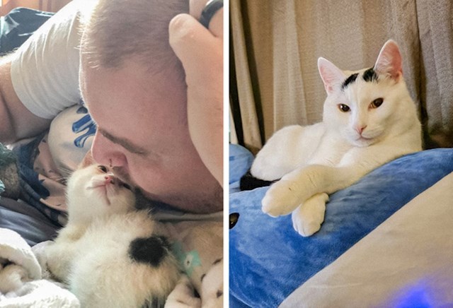 Na fotografiji s lijeva je mačak Dizzy tek došao u svoju obitelj, a na fotografiji s desna ima četiri godine - pravi mačak!