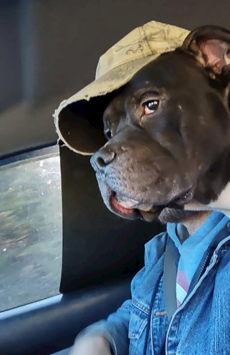 14. Još jedan savršeno pogođen trenutak! 😃