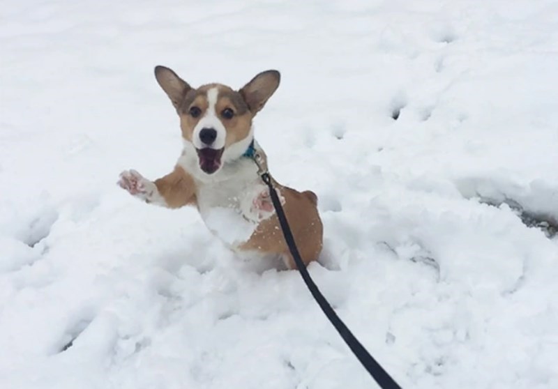 "Prva igra na snijegu je dobro prošla."