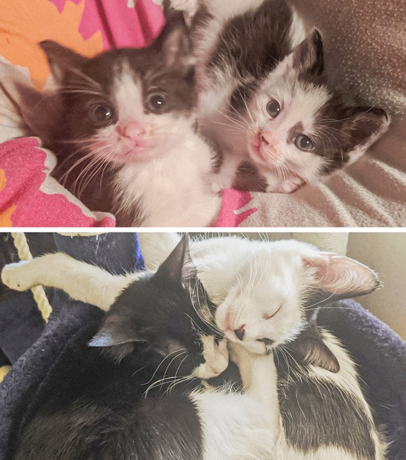 Malog brata i seku netko je bacio u kontenjer, a ovako izgledaju danas