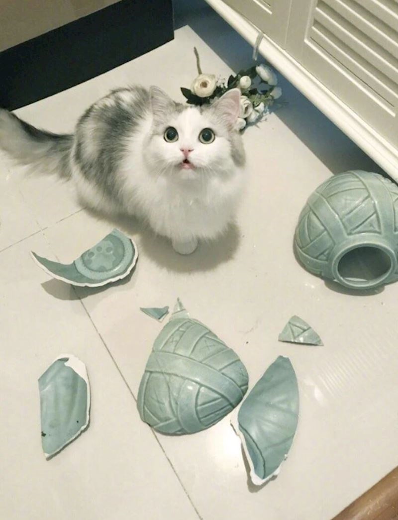 Ni njoj nije jasno što se dogodilo 😃