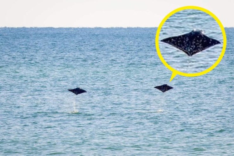 "Snimila sam prizor koji se viđa jednom u životu."