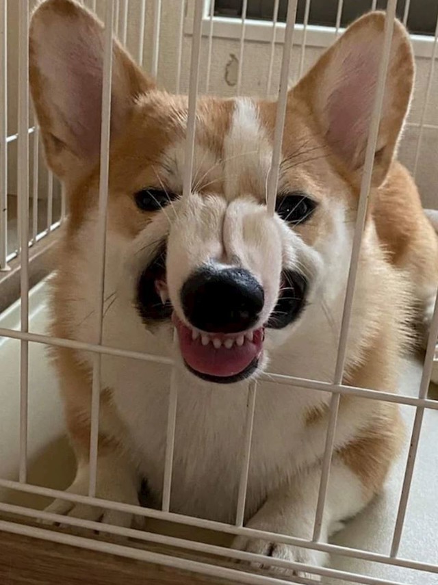 9.