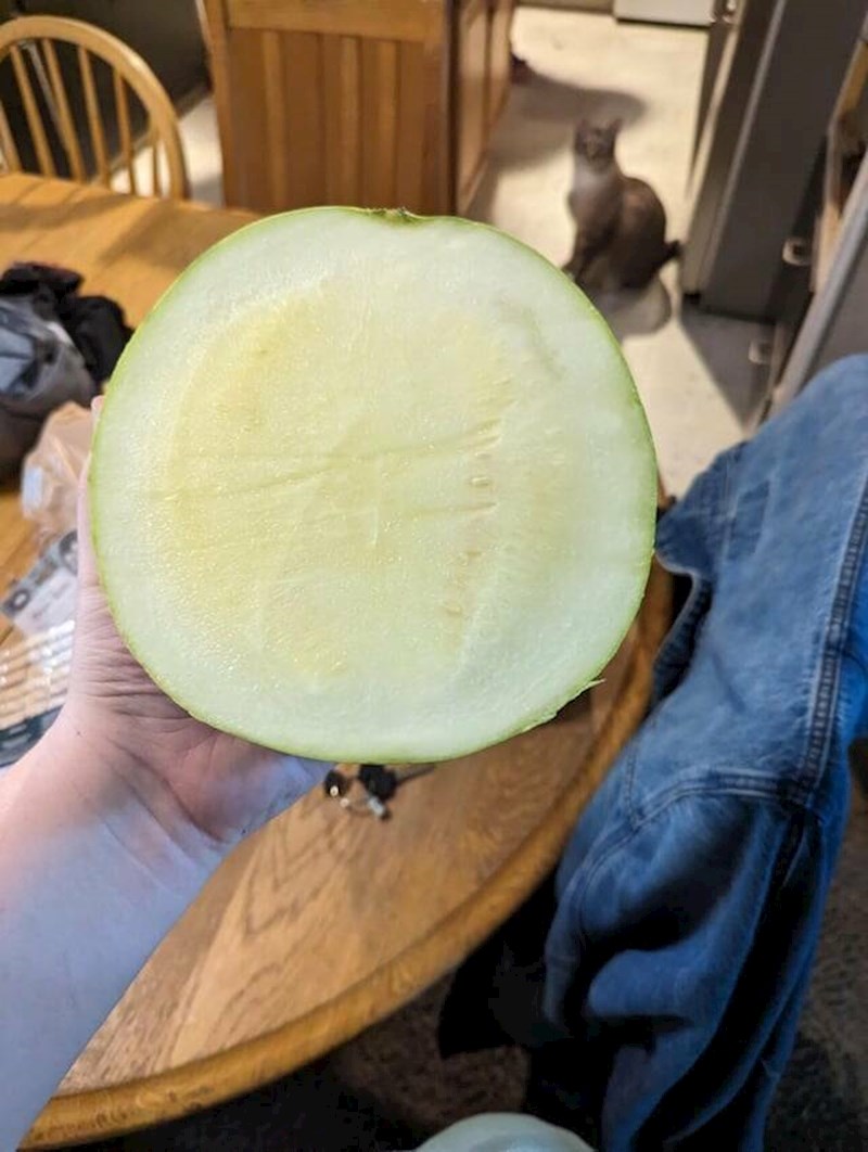 "Odlučila sam jesti zdravije pa kupila lubenicu. Mislim da mi svemir nešto poručuje"