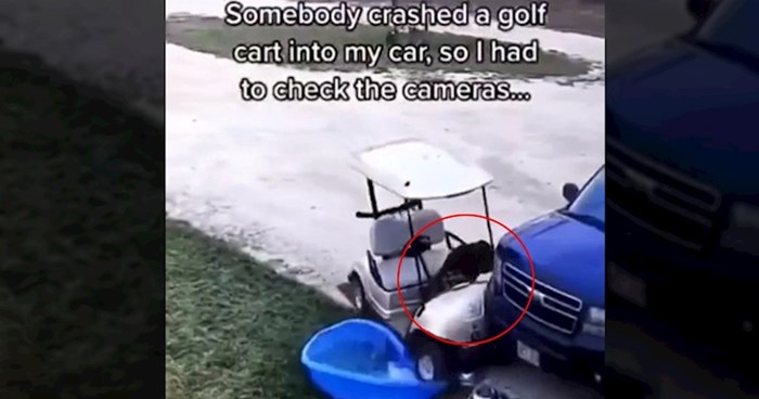 Ženu zanimalo tko je udario golf vozilom u auto, snimka nadzorne kamere otkrila neočekivanog krivca