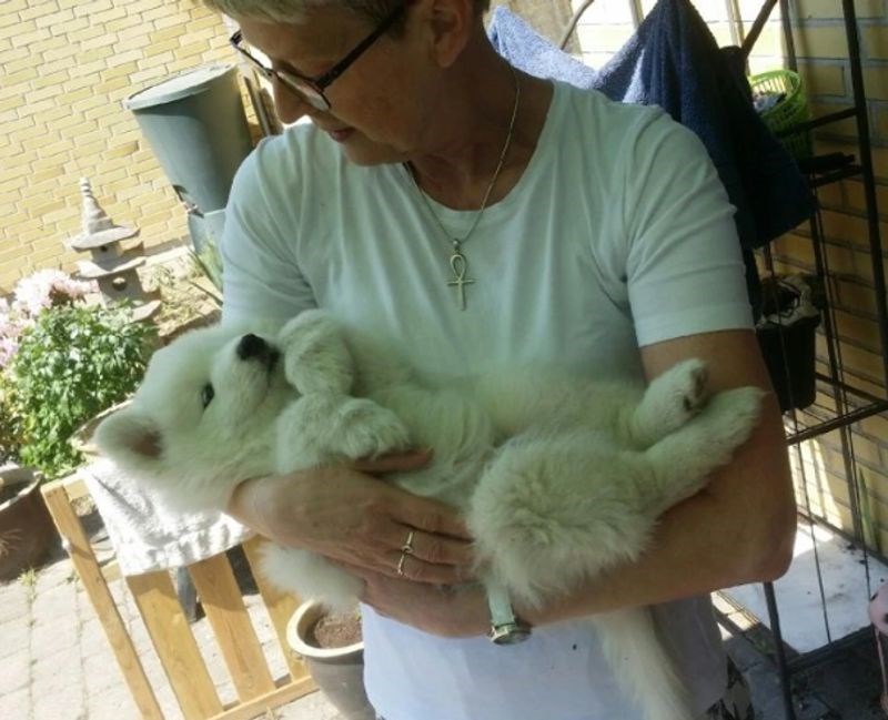 "Tek smo ga doveli doma, a već ne možemo zamisliti život bez njega"