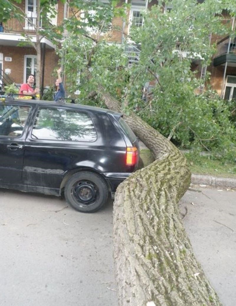 4. "Nekoliko minuta prije ovoga smo izašli iz auta..."