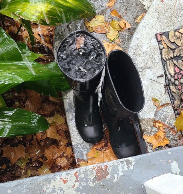 "Uzela sam gumene čizme u nadi da ću ih maknuti s kiše. Očito sam zaboravila..."