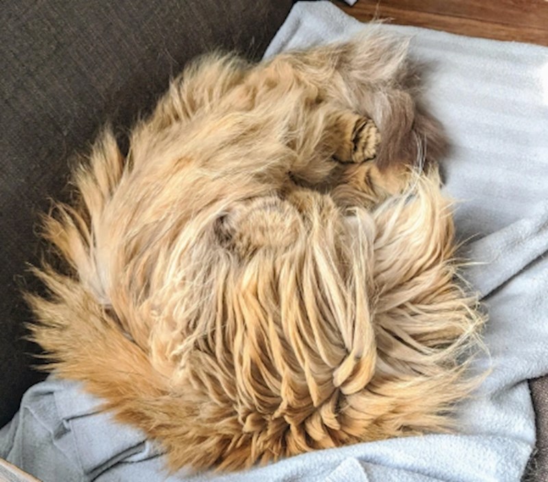 8. "Gdje joj je početak, a gdje kraj?"