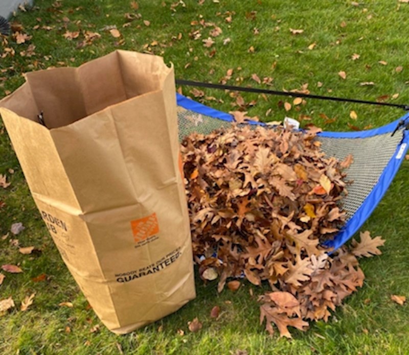 4. "Za brže skupljanje lišća koristimo dječji gol"