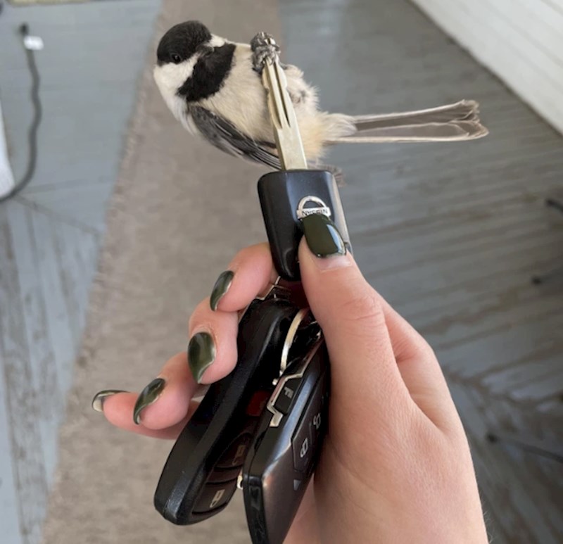 8. "Pogledajte što mi se danas dogodilo!"