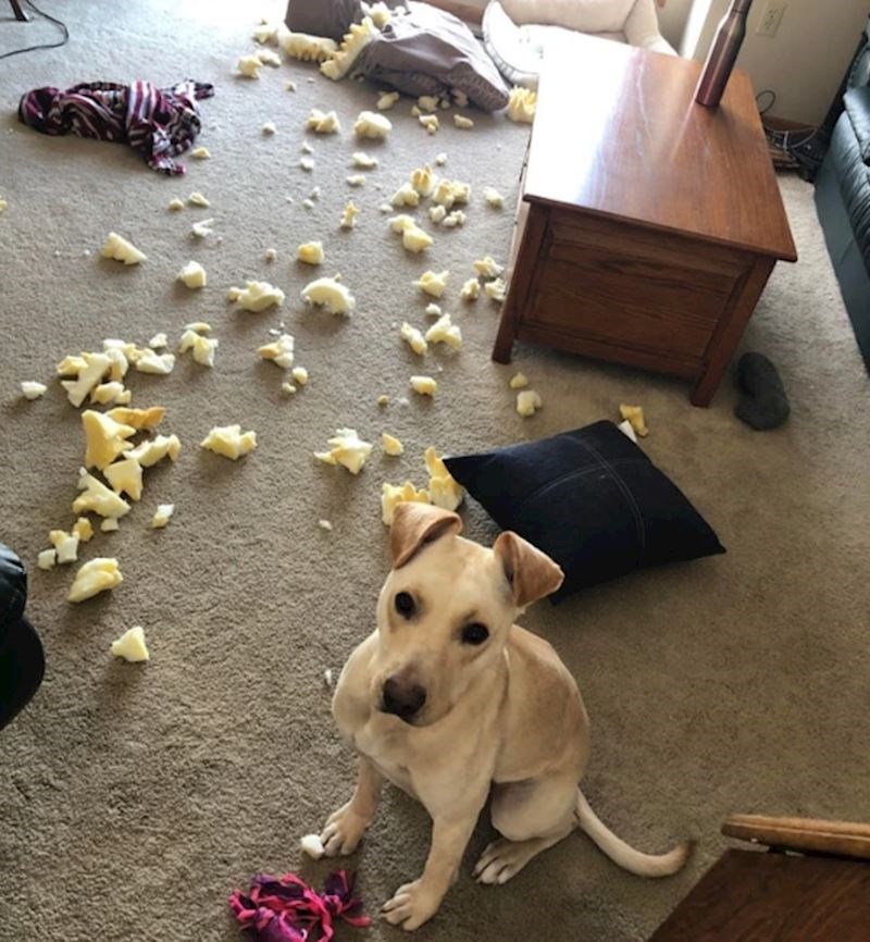 "Očito joj se nije svidio novi krevet..."