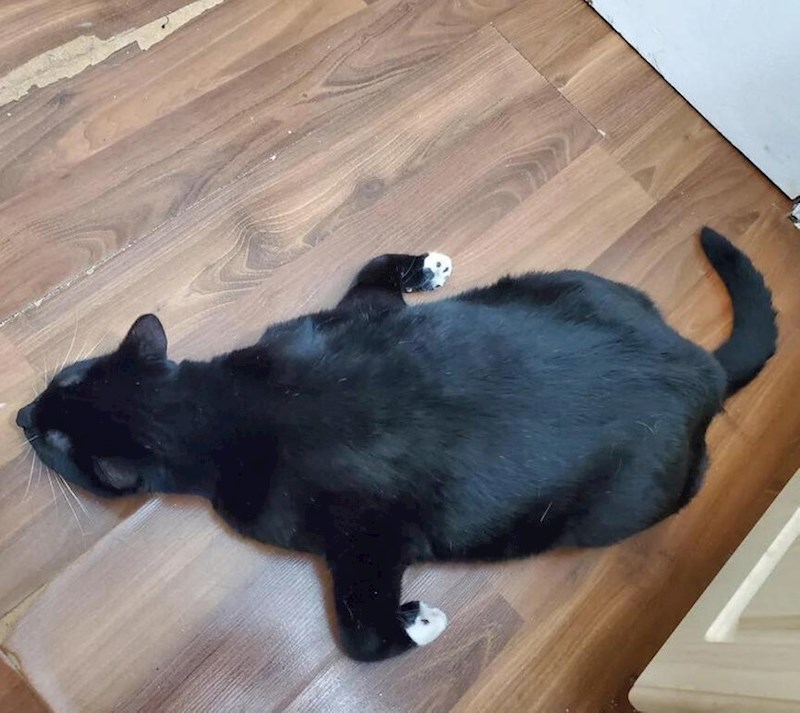 5. Spavanje u čudnim pozama je stil života