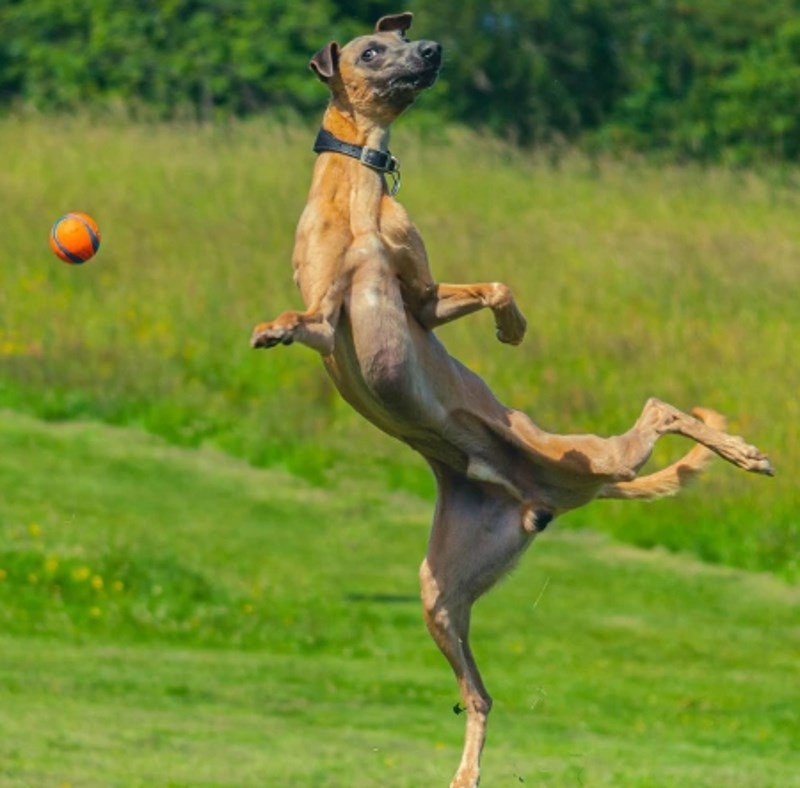 6. "Izgleda kao neki kung fu borac!"