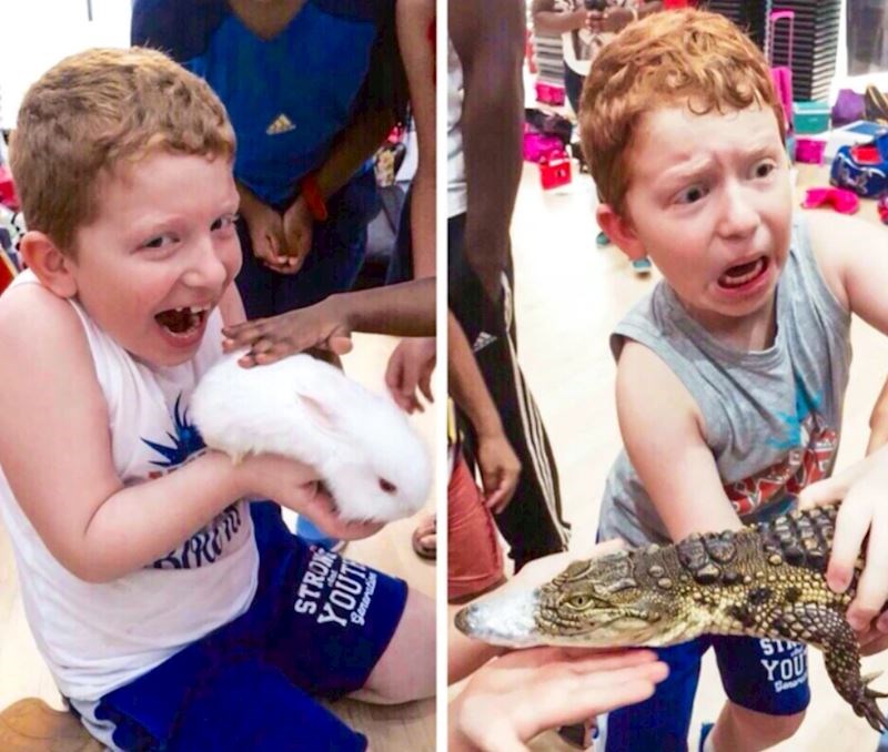 5. Kakva razlika u reakcijama 😅😂